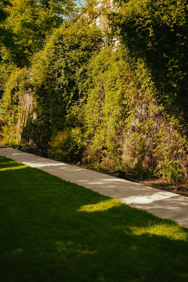 Forma Płynna lokal 2